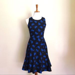 J Crew Factory fit and flare blue floral dress 00